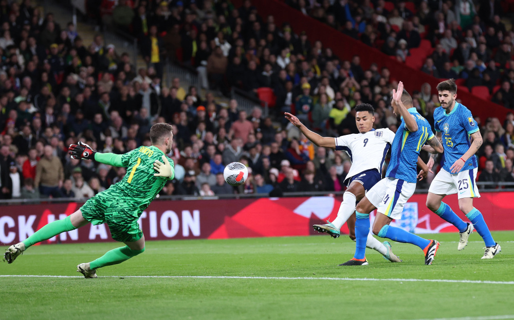 这种多样化 这种多样化