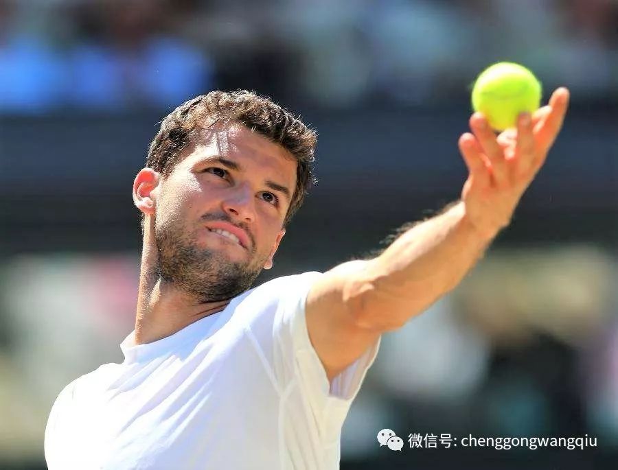 布吸引搜索 布吸引搜索